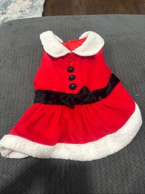 🟢10/$10 - pets holiday outfit